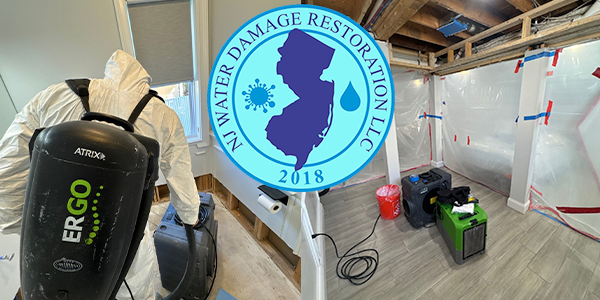 Water Removal Services New Jersey technician performing emergency water extraction in a flooded basement