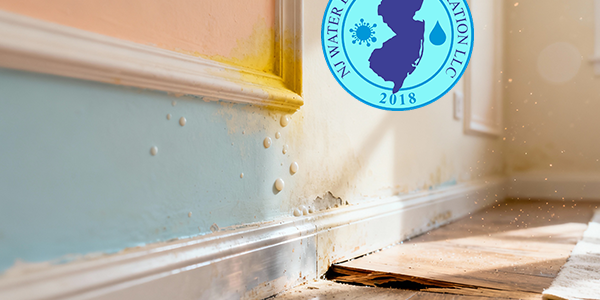 Early signs of hidden water damage inside a home, showing subtle moisture and wall discoloration