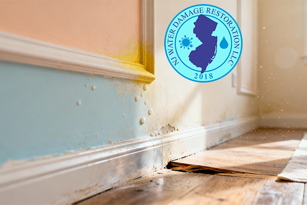 Early signs of hidden water damage inside a home, showing subtle moisture and wall discoloration